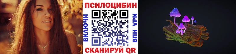 Купить закладки Бежецк Псилоцибиновые грибы мицелий